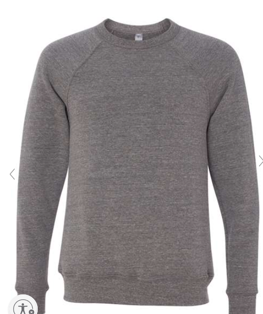 Astros Sweatshirt